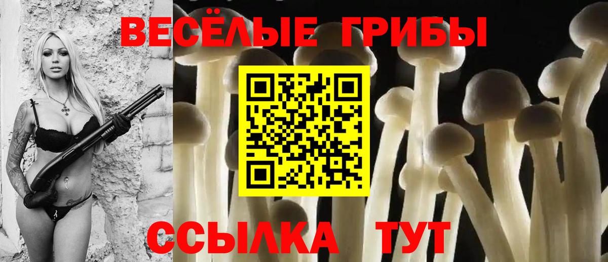 Галлюциногенные грибы Cubensis  Вход с VPN  хочу наркоту  Ахтубинск 